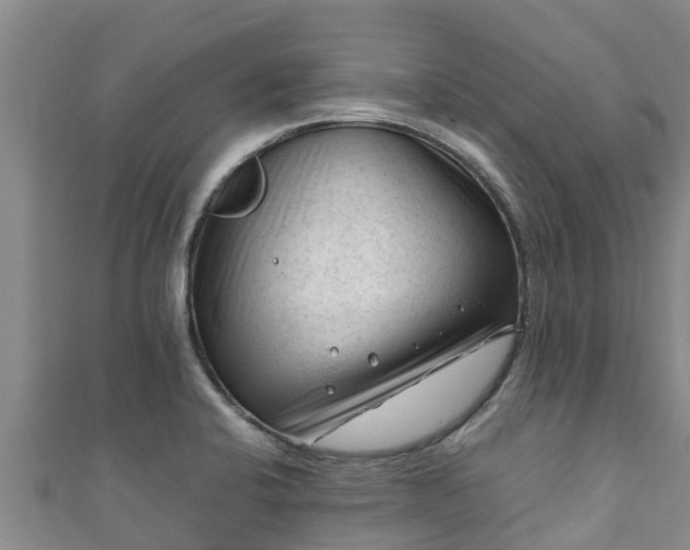 X0000111601424200907231226