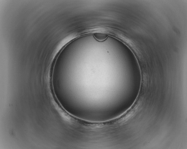X0000111601426200907231226
