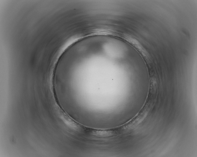 X0000111601427200907231226