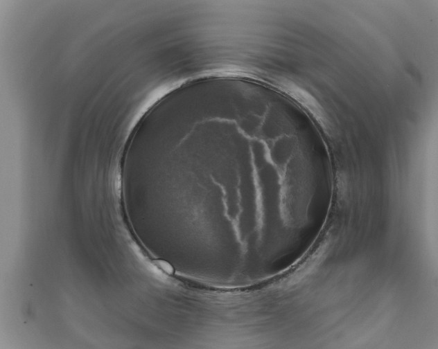X0000111601428200907231226