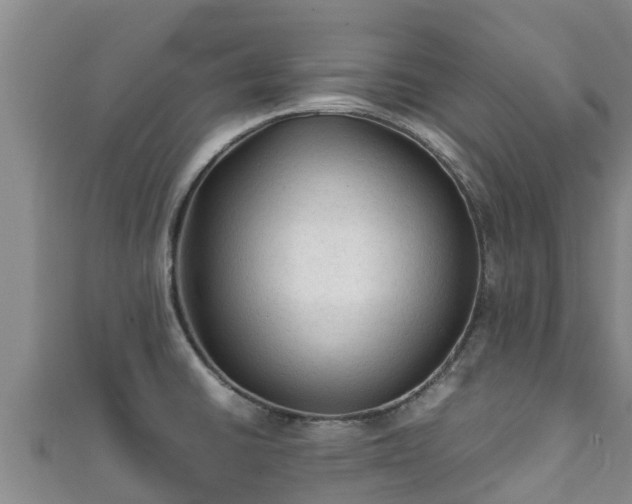 X0000111601430200907231226