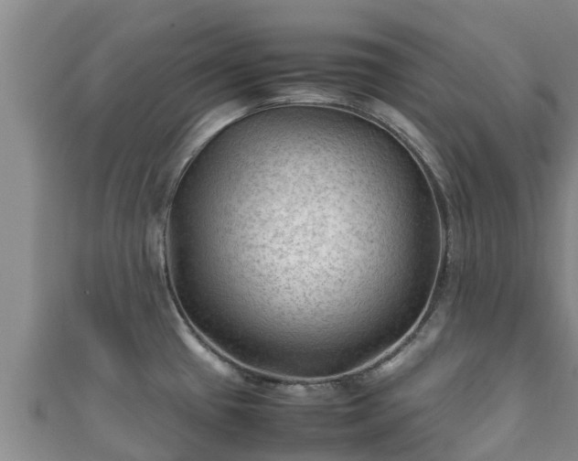 X0000111601433200907231226