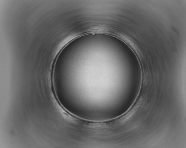 X0000111601434200907231226