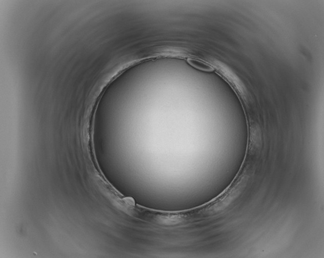 X0000111601435200907231226
