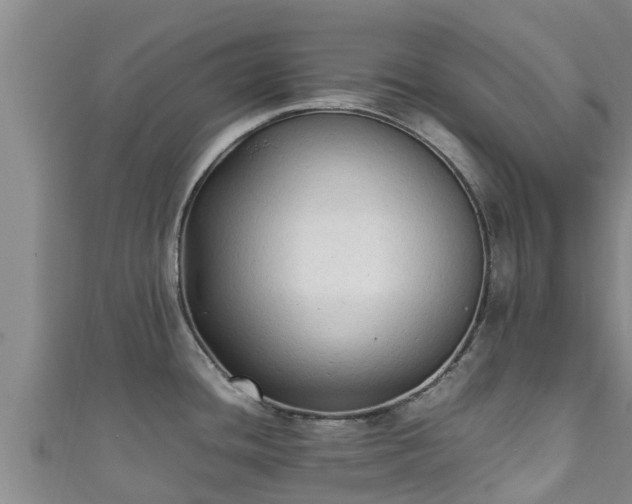 X0000111601436200907231226