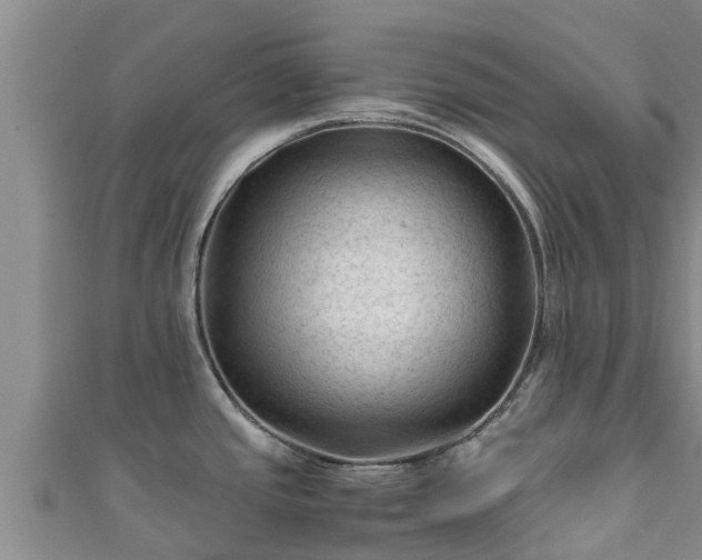 X0000111601437200907231226