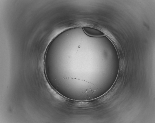 X0000111601439200907231226