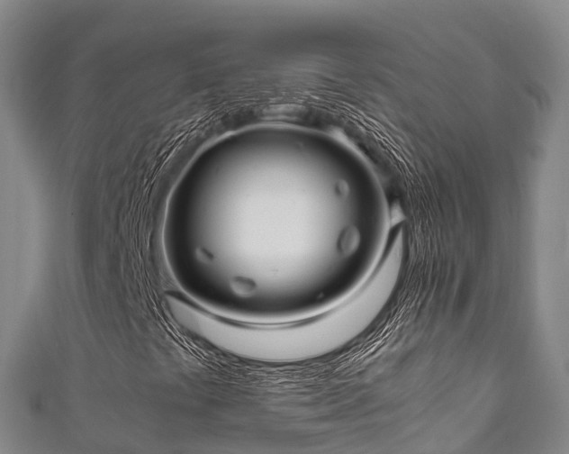 X0000111601441200907231225
