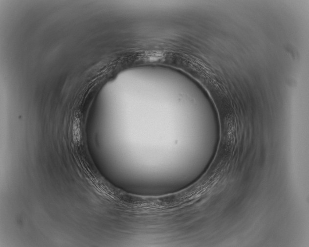 X0000111601442200907231225