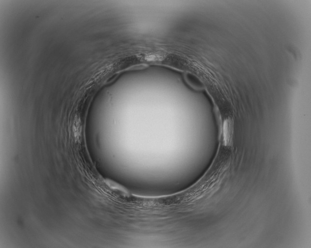 X0000111601443200907231225