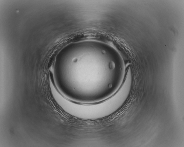 X0000111601445200907231225