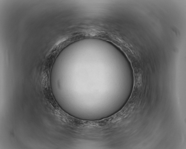 X0000111601446200907231225