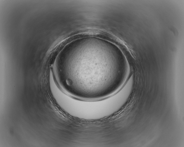 X0000111601448200907231225