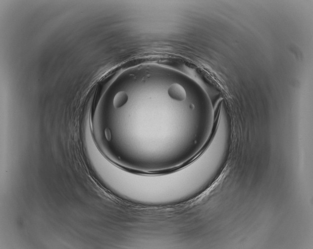 X0000111601449200907231225