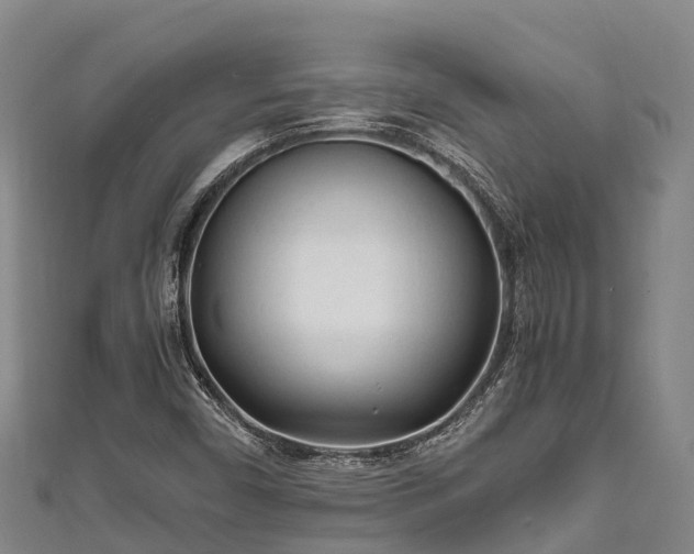 X0000111601450200907231225