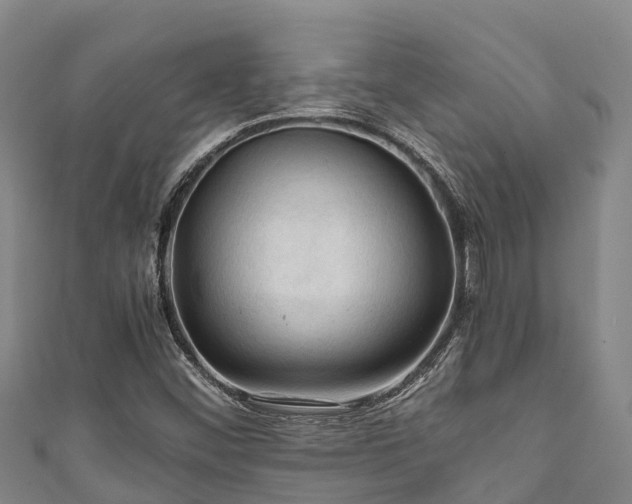 X0000111601452200907231225