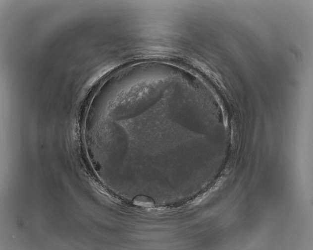 X0000111601453200907231225