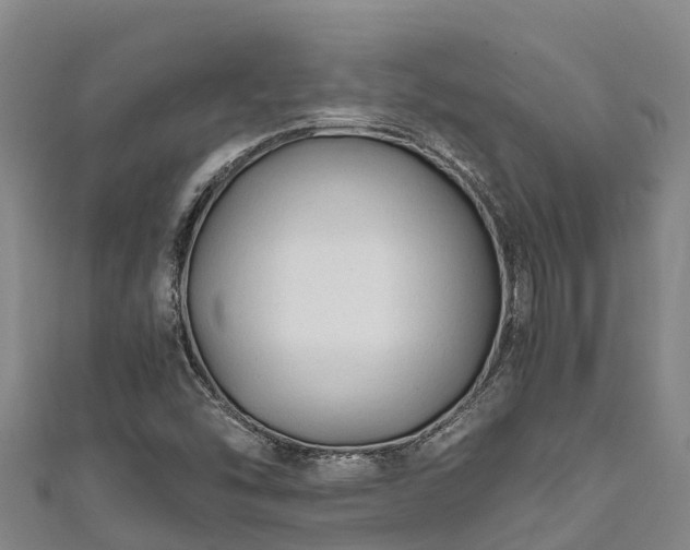 X0000111601454200907231225