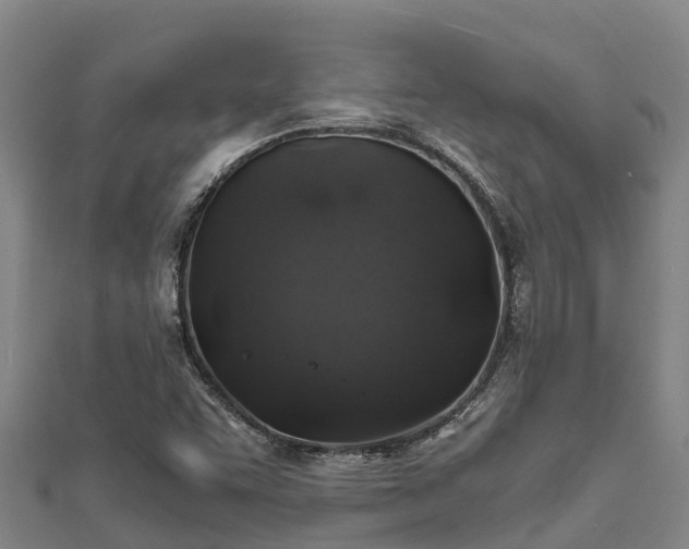 X0000111601455200907231225