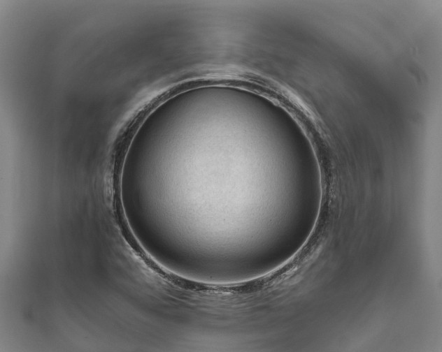 X0000111601456200907231225