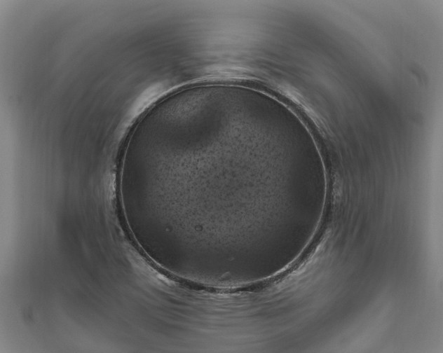 X0000111601459200907231225