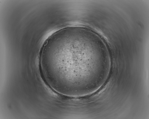 X0000111601463200907231225