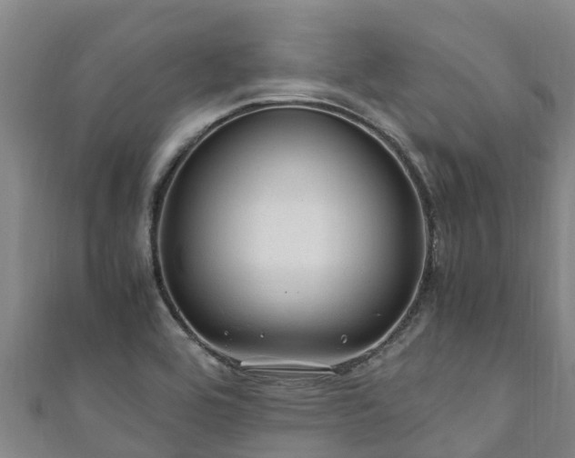 X0000111601464200907231225