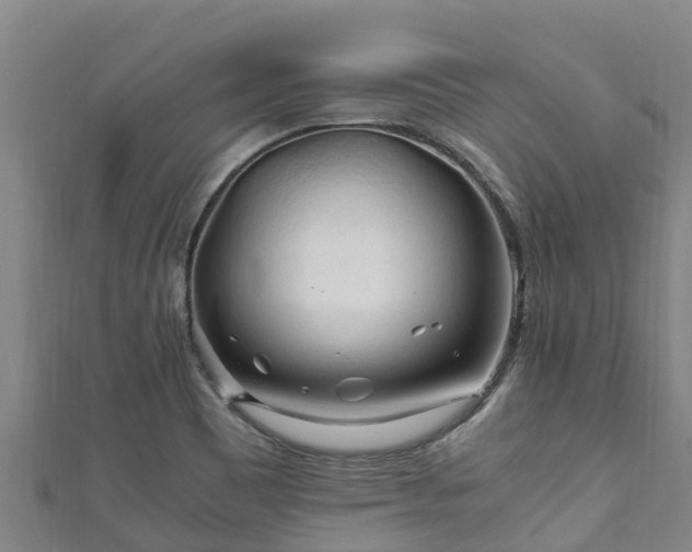 X0000111601465200907231225