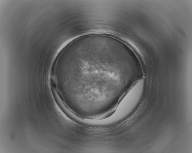 X0000111601468200907231225