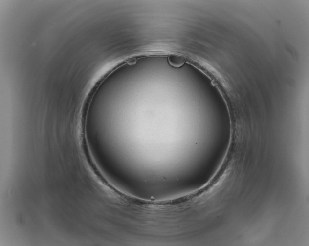 X0000111601469200907231225