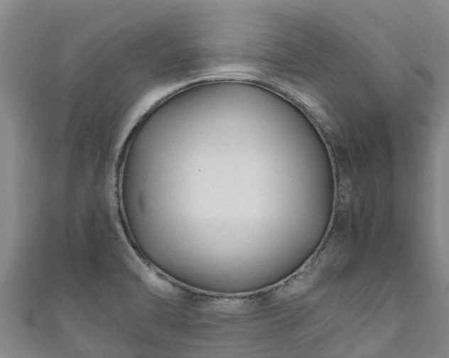 X0000111601470200907231225