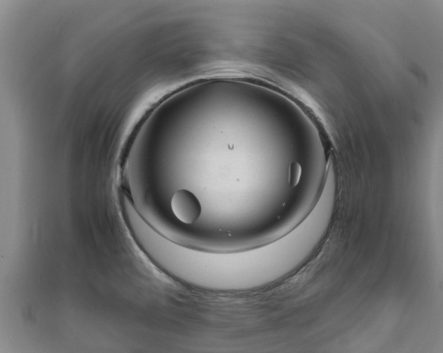 X0000111601472200907231225