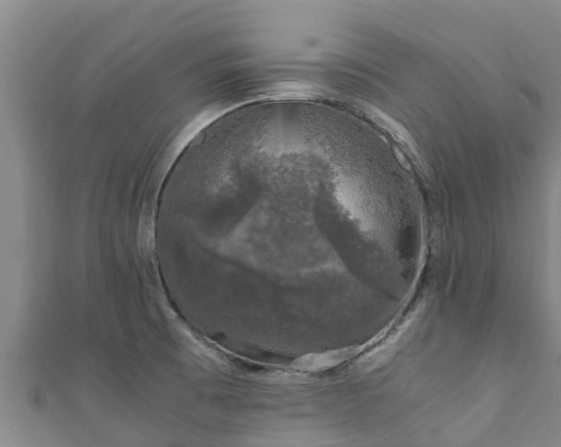 X0000111601473200907231225