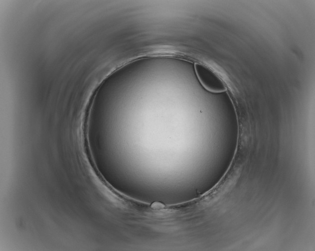 X0000111601475200907231225