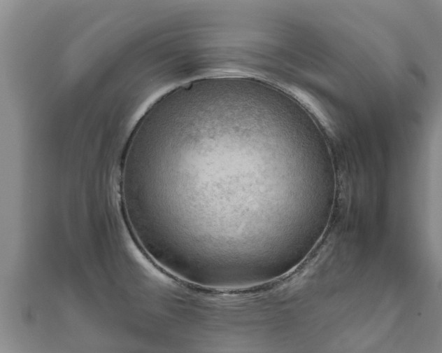 X0000111601476200907231225