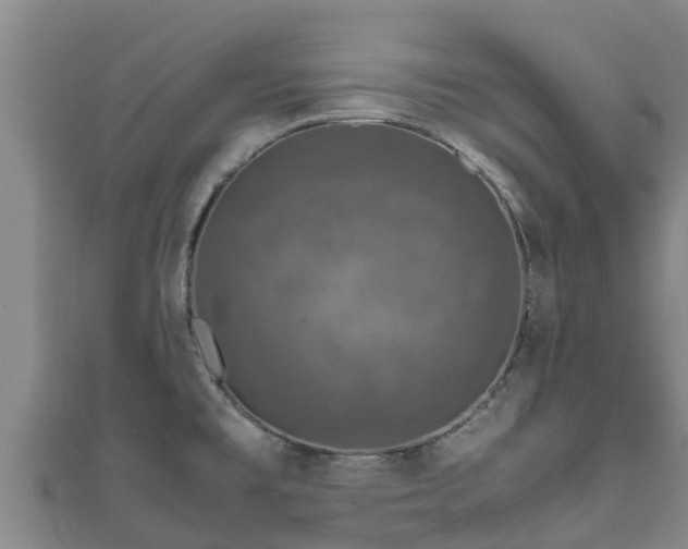 X0000111601477200907231225