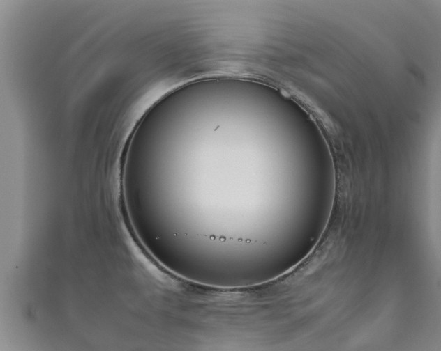 X0000111601479200907231225