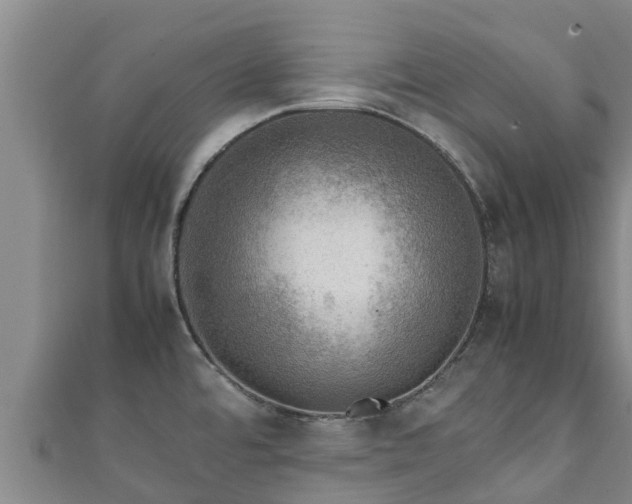 X0000111601480200907231225