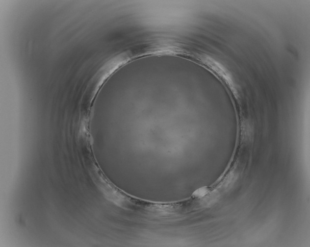 X0000111601481200907231225
