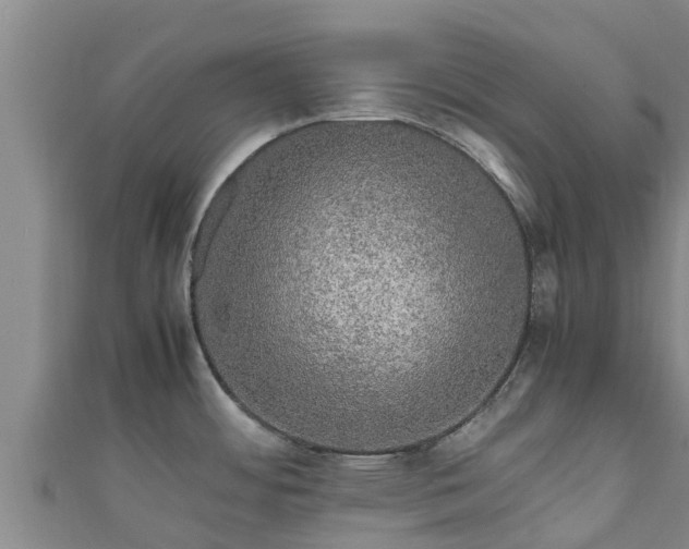 X0000111601484200907231225