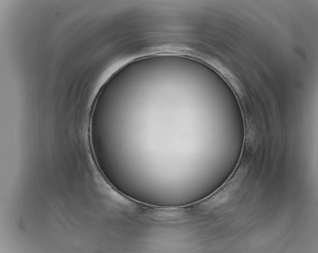 X0000111601486200907231225