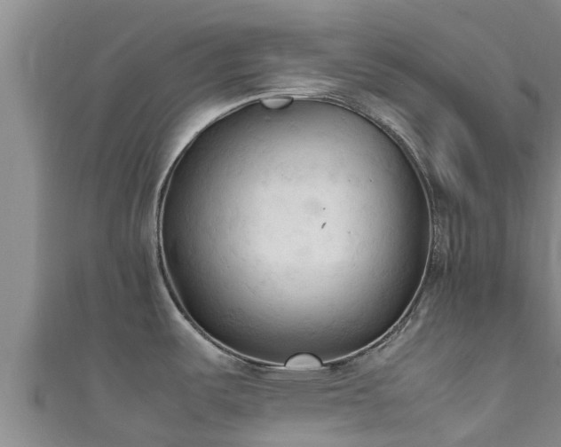 X0000111601487200907231225