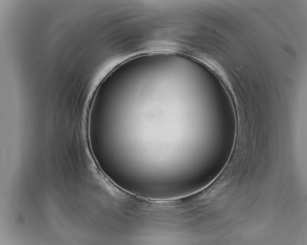 X0000111601488200907231225