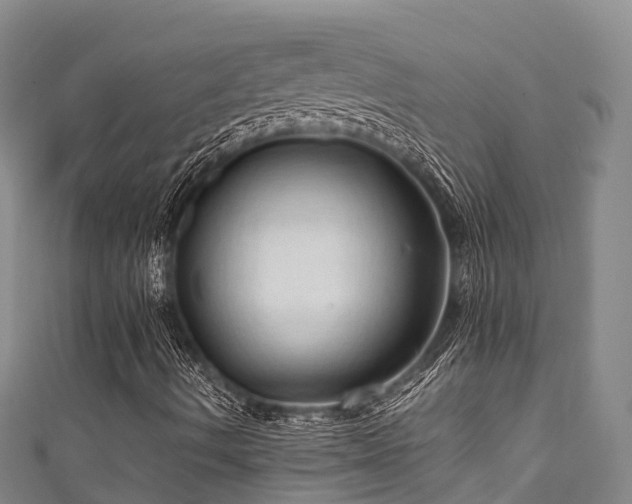 X0000111601490200907231224