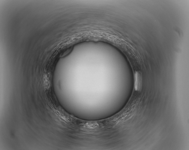 X0000111601491200907231224