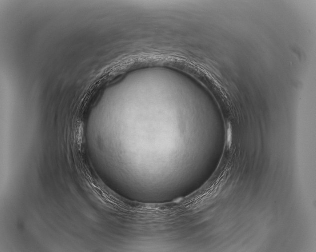 X0000111601492200907231224