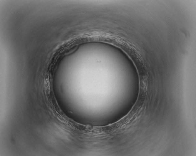 X0000111601493200907231224