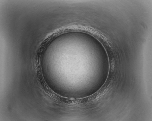X0000111601494200907231224