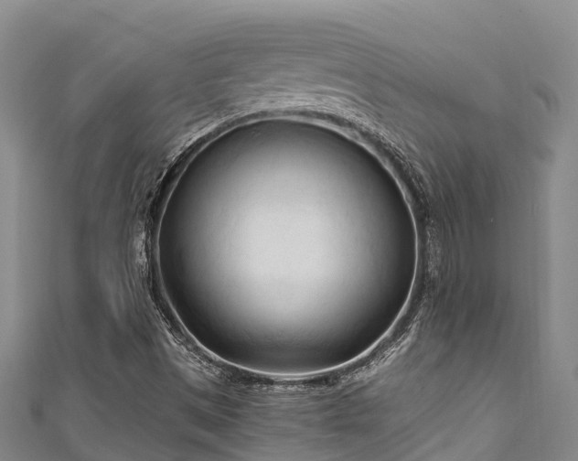 X0000111601497200907231224