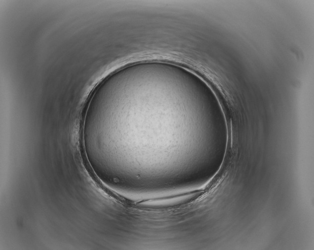 X0000111601500200907231224